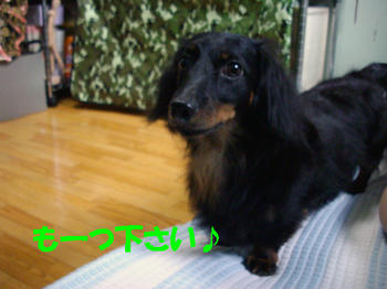 090705_5.jpg