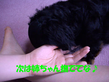 090711_5.jpg