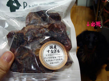 090712_3.jpg