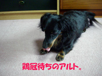 090713_1.jpg
