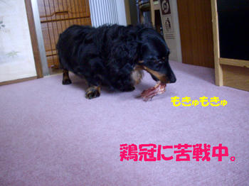 090713_5.jpg