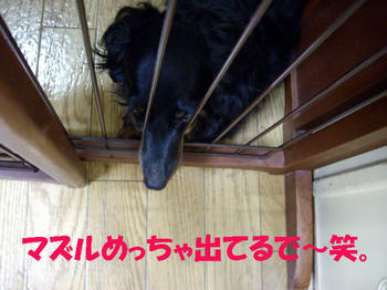 090719_6.jpg