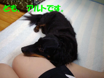 090725_1.jpg
