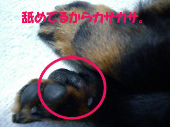 090725_5.jpg