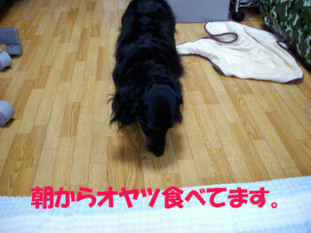 090726_1.jpg