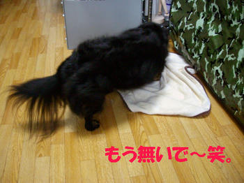 090726_3.jpg