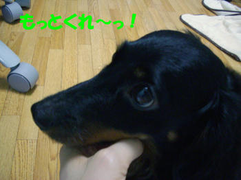 090726_6.jpg