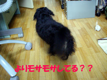 090801_2.jpg