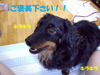 090801_4.jpg