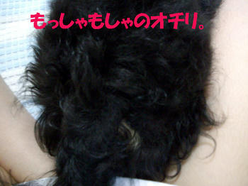 090801_5.jpg