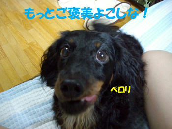 090801_6.jpg