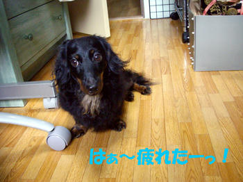 090801_7.jpg