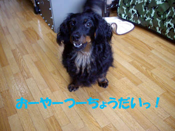 090802_1.jpg