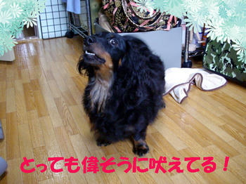 090802_2.jpg