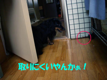 090802_5.jpg