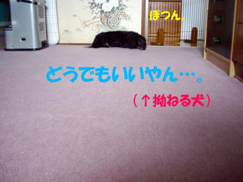 090802_9.jpg