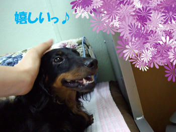 090809_5.jpg