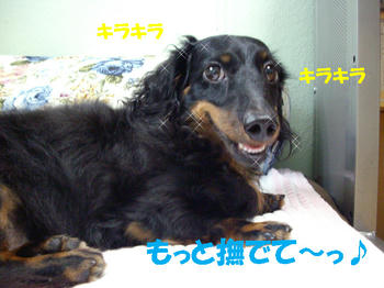 090809_6.jpg
