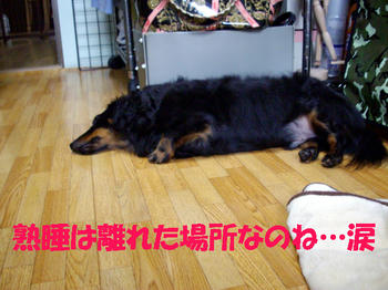 090809_7.jpg