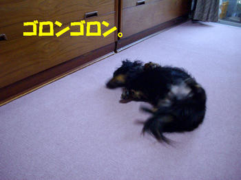 090815_2.jpg