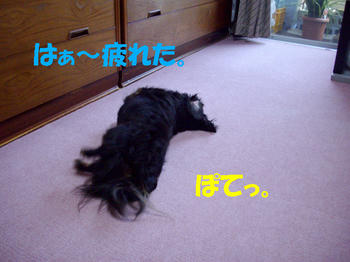 090815_3.jpg