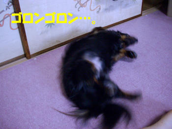 090815_5.jpg