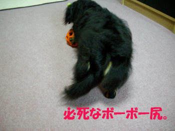090816_7.jpg