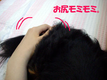 090822_4.jpg
