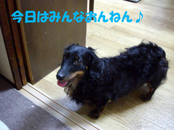 090823_1.jpg