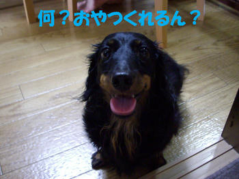 090823_2.jpg