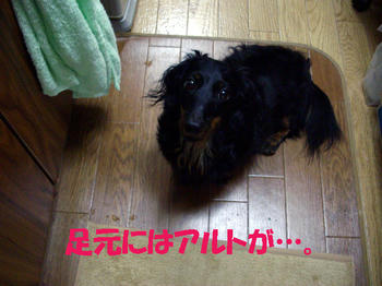 090829_3.jpg