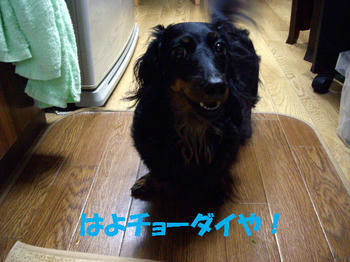 090829_4.jpg