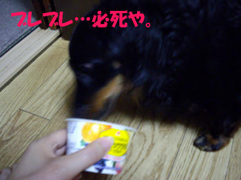 090829_6.jpg