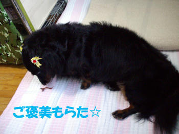 090830_1.jpg