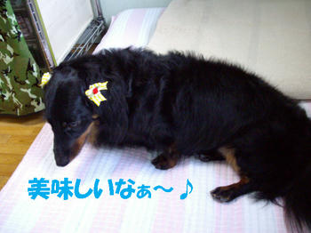 090830_2.jpg