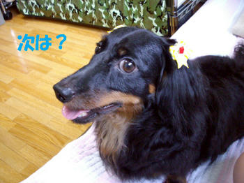090830_5.jpg