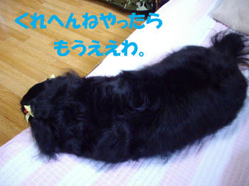 090830_7.jpg