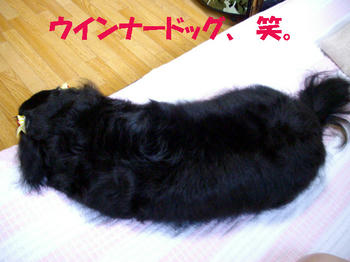 090830_8.jpg