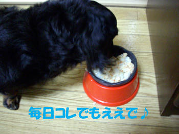 090905_5.jpg