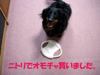 090906_1.jpg