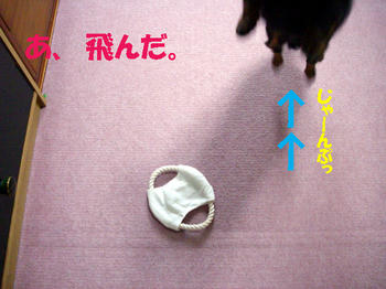 090906_2.jpg
