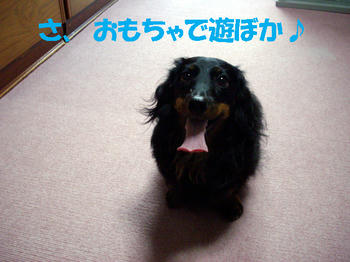 090906_4.jpg