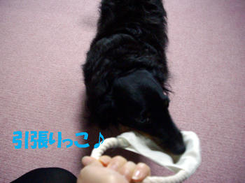 090906_5.jpg