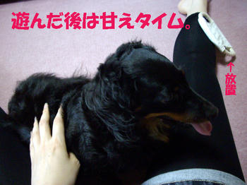 090906_7.jpg