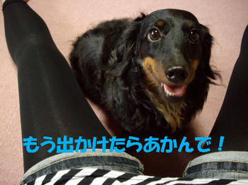 090906_8.jpg