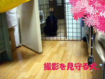 090912_3.jpg