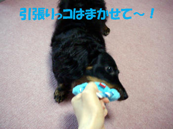090912_5.jpg