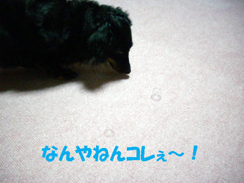 090913_5.jpg