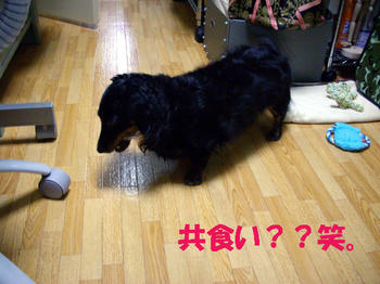 090920_5.jpg