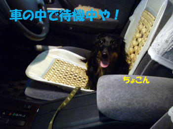 090922_3.jpg